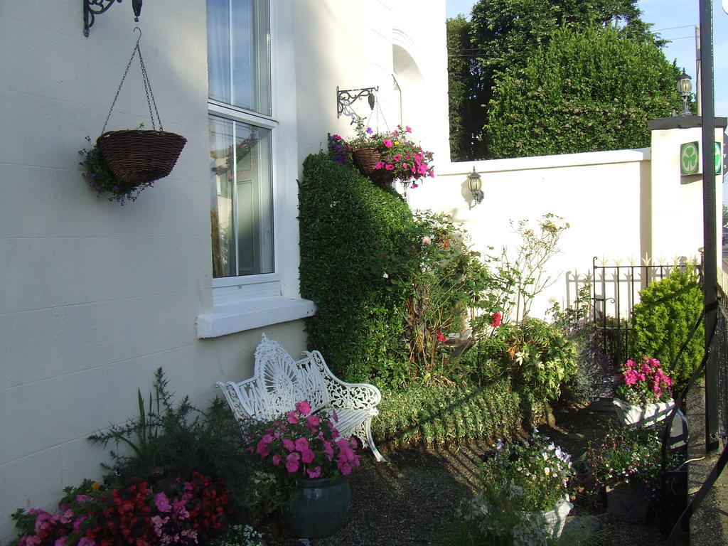 Rosemount House B&B COUNTY WEXFORD Exteriör bild