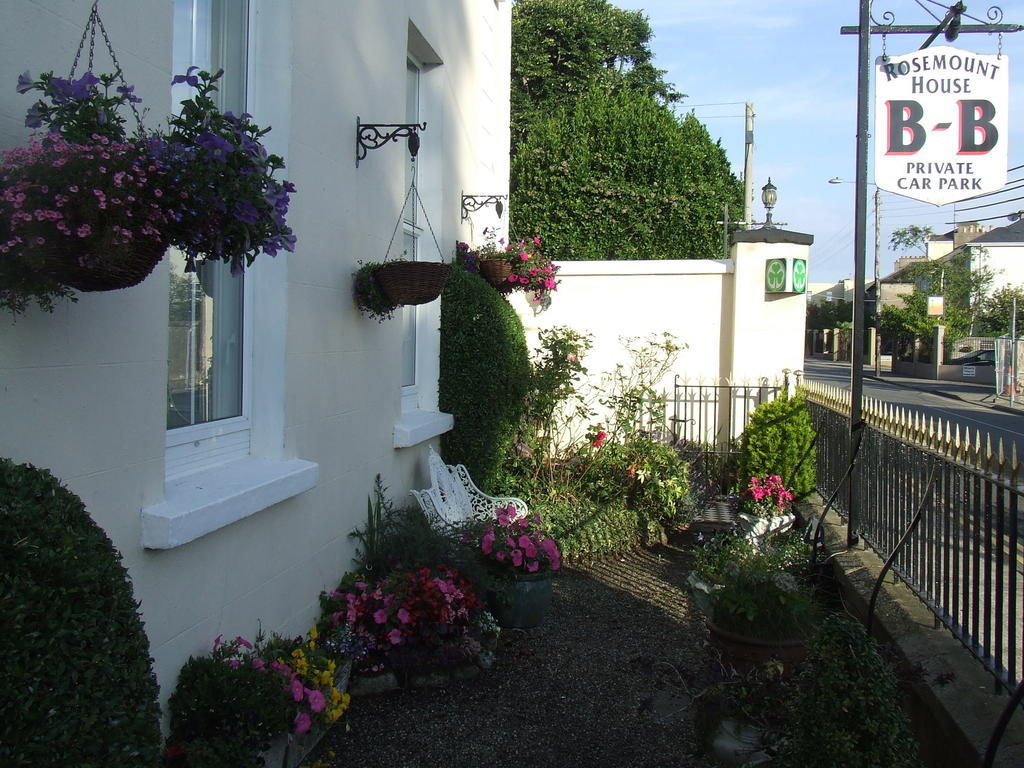 Rosemount House B&B COUNTY WEXFORD Exteriör bild